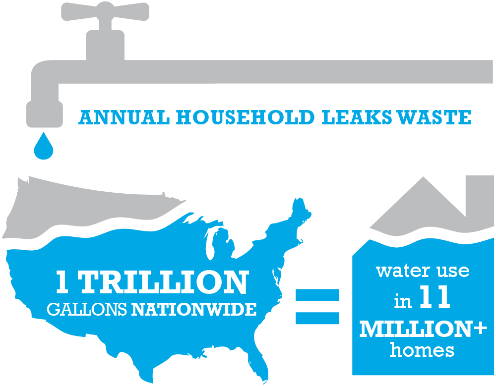 Annual Household Leaks